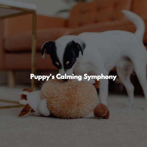Puppy's Calming Symphony