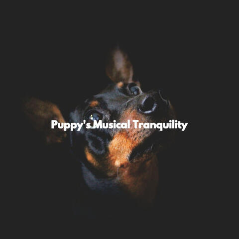 Puppy's Musical Tranquility