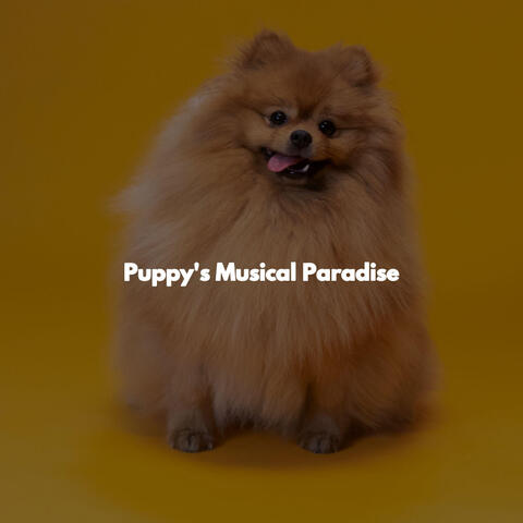 Puppy's Musical Paradise