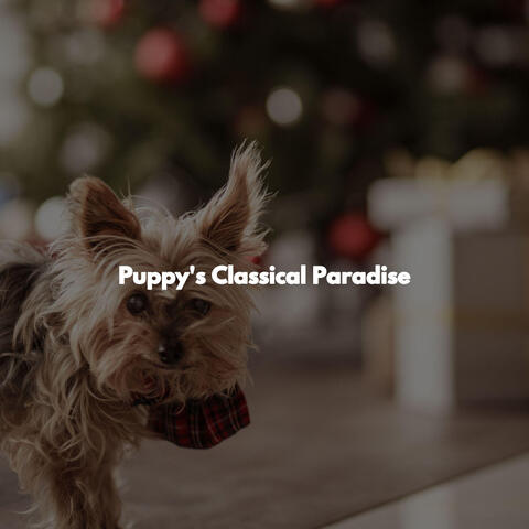Puppy's Classical Paradise