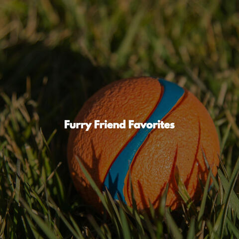 Furry Friend Favorites