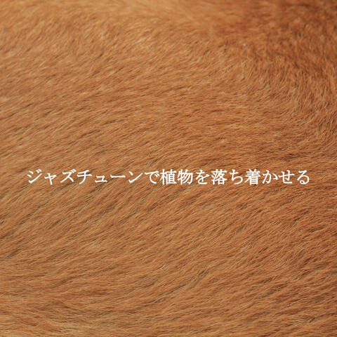 ジャズチューンで植物を落ち着かせる