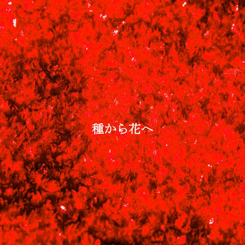 種から花へ
