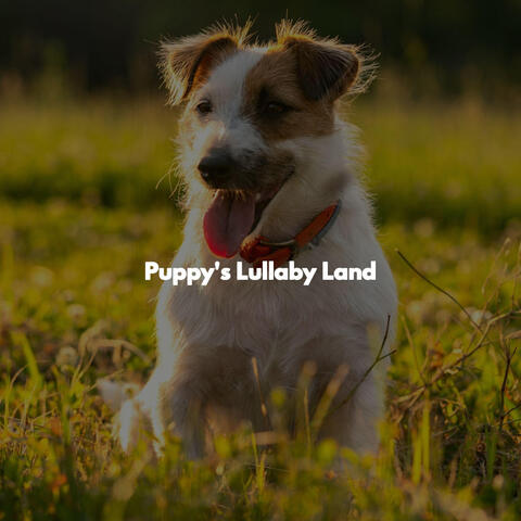 Puppy's Lullaby Land