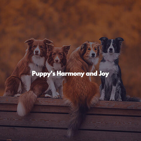 Puppy's Harmony and Joy