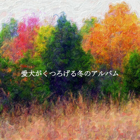 愛犬がくつろげる冬のアルバム