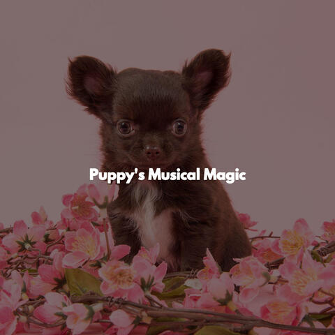Puppy's Musical Magic