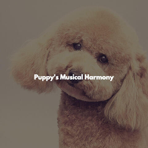 Puppy's Musical Harmony