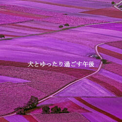 Vintage Rejuvenating Seasons