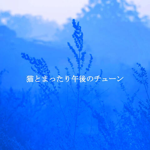 猫とまったり午後のチューン