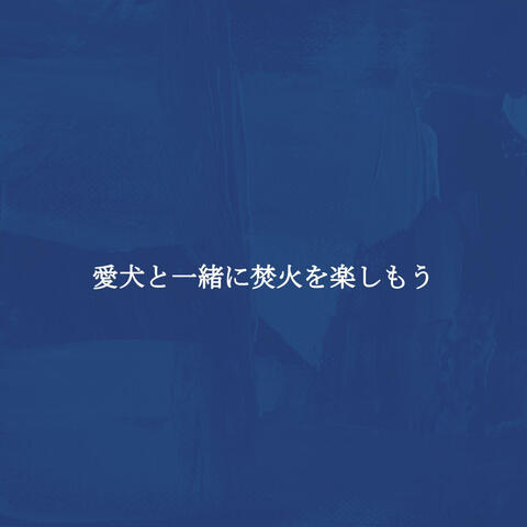 愛犬と一緒に焚火を楽しもう