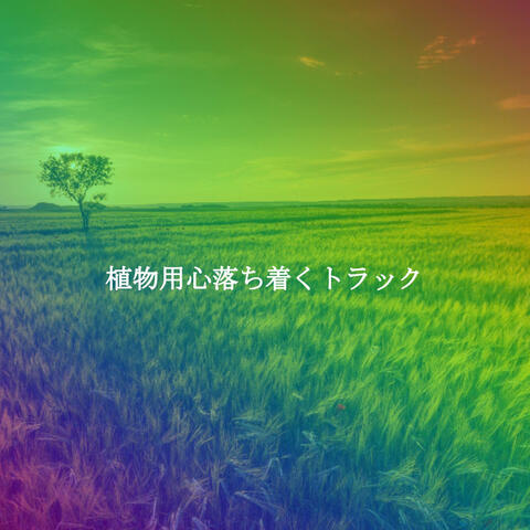 植物用心落ち着くトラック