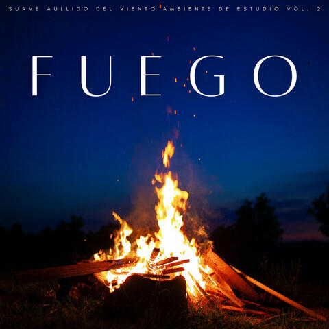 Fuego: Suave Aullido Del Viento Ambiente De Estudio Vol. 2