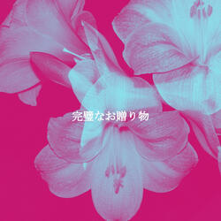 Fashionable Cozy Reading