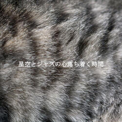 Warm Bebop Trumpet - Vibe for Wellness Mode