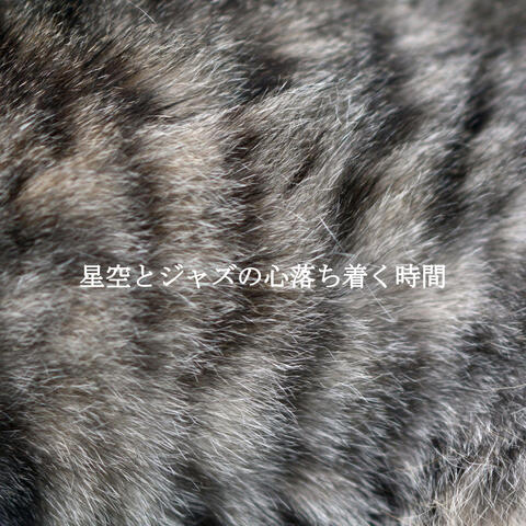 星空とジャズの心落ち着く時間