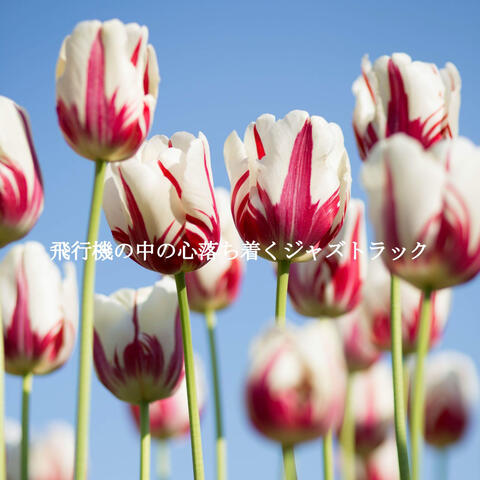 飛行機の中の心落ち着くジャズトラック