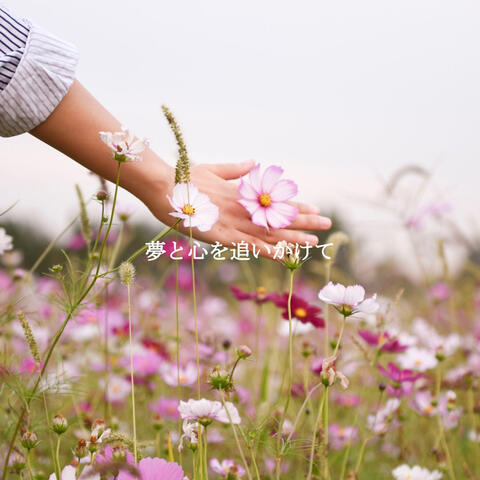 夢と心を追いかけて