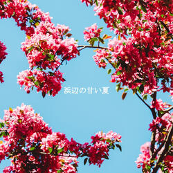 Smooth Backdrops for Coffee Happiness