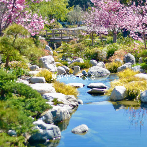 夏がやってくる