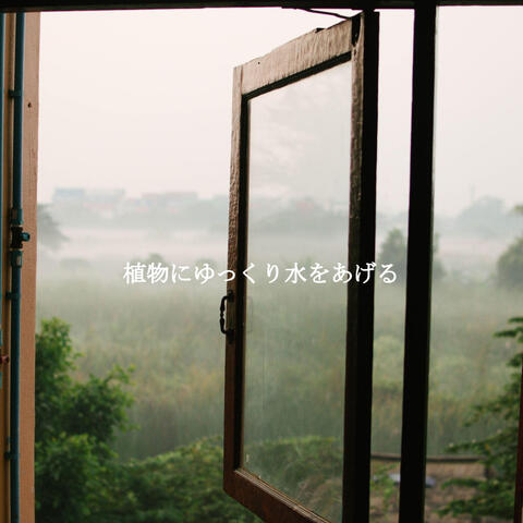 植物にゆっくり水をあげる