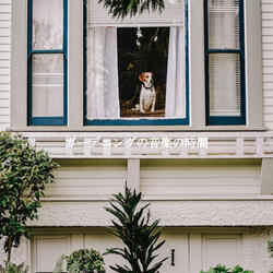 Laid-back Backdrops for Counting Blessings