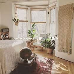 Cool Ambience for Relax Days