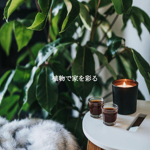 植物で家を彩る