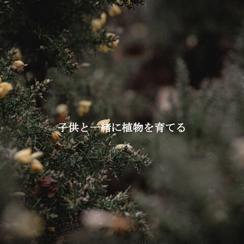 子供と一緒に植物を育てる