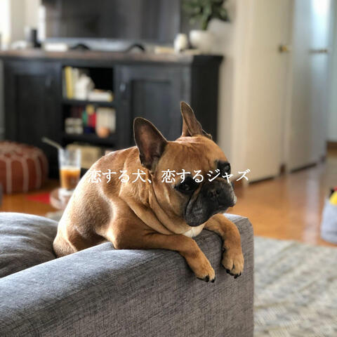 恋する犬、恋するジャズ