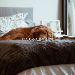 Spirited Ambiance for Relax Hour