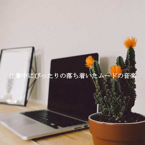 仕事中にぴったりの落ち着いたムードの音楽