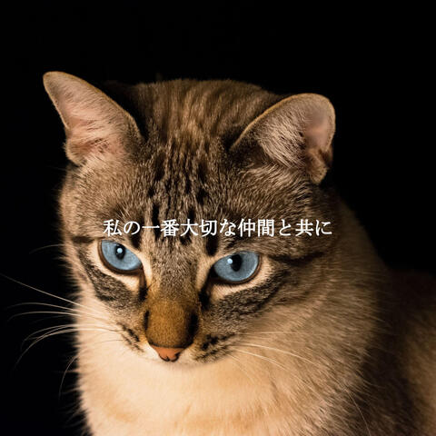 私の一番大切な仲間と共に