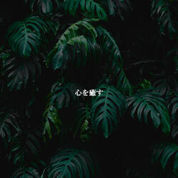 Breathtaking Moods for January Studies