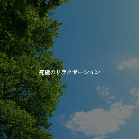 究極のリラクゼーション