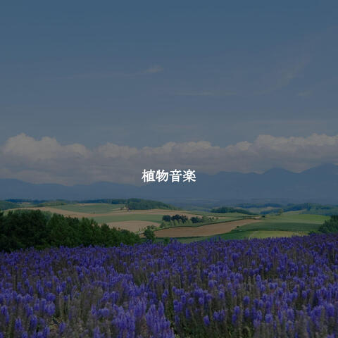 植物音楽
