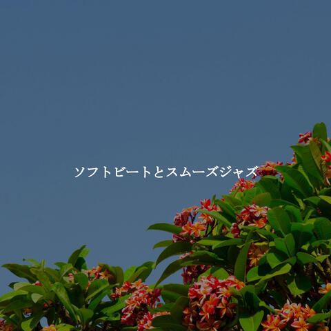ソフトビートとスムーズジャズ