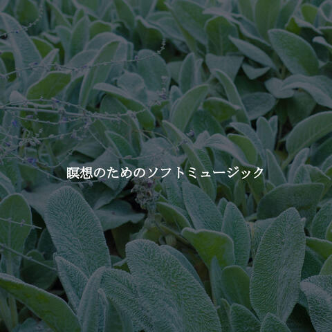 瞑想のためのソフトミュージック