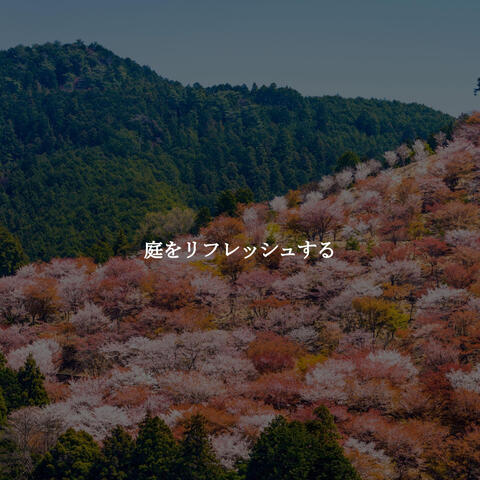 庭をリフレッシュする