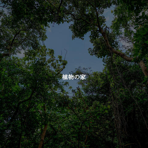 植物の家