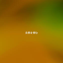 Sunny Backdrops for Monday Morning Works