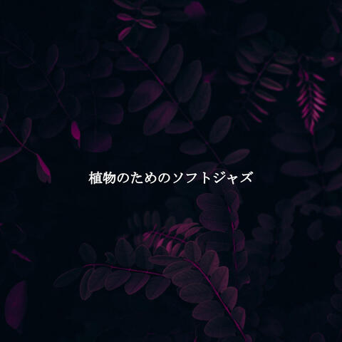 植物のためのソフトジャズ