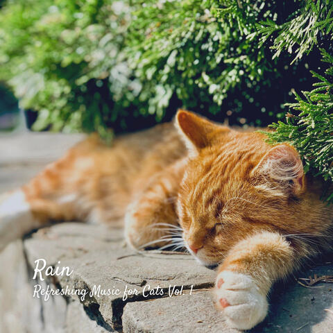 Rain: Refreshing Music for Cats Vol. 1