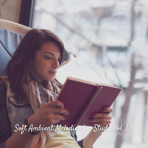Soft Ambient Melodies for Study Vol. 1