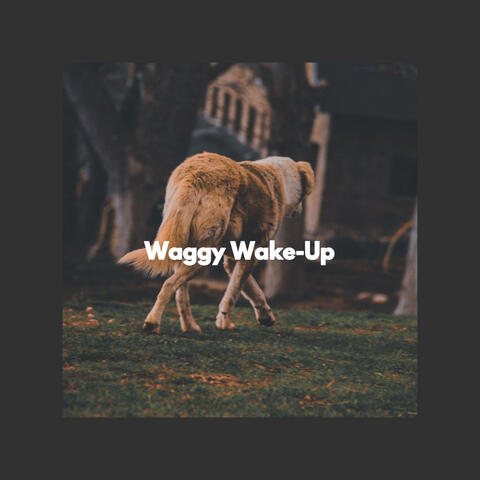 Waggy Wake-Up