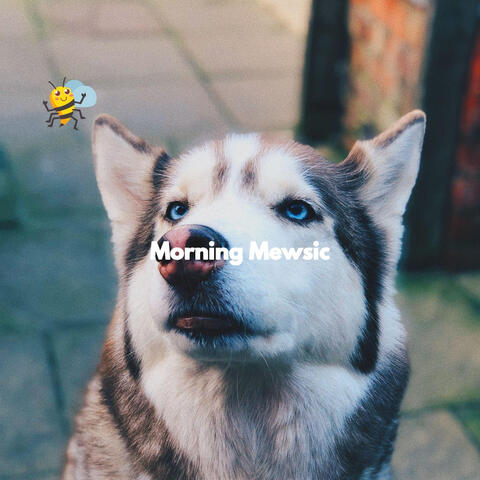 Morning Mewsic