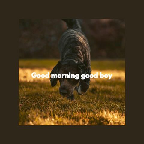 Good morning good boy