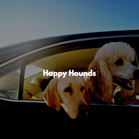 Happy Hounds
