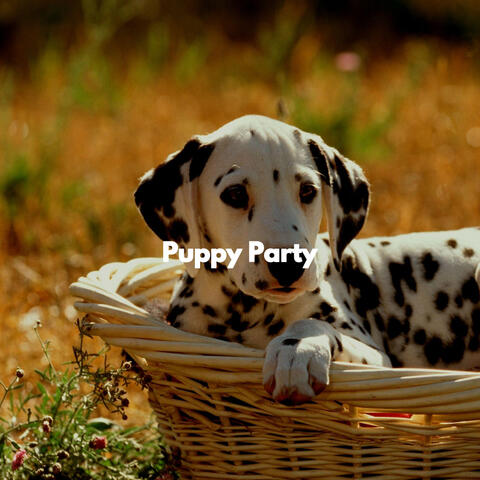 Puppy Party