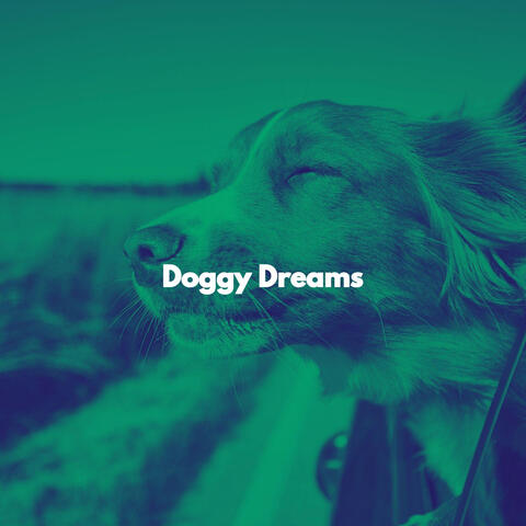 Doggy Dreams